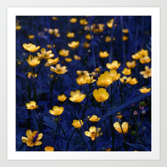 a sea of buttercups Art Print