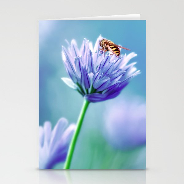 Hoverfly 48 Stationery Cards