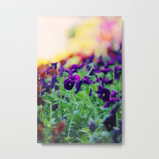Rainbow of Flowers Metal Print