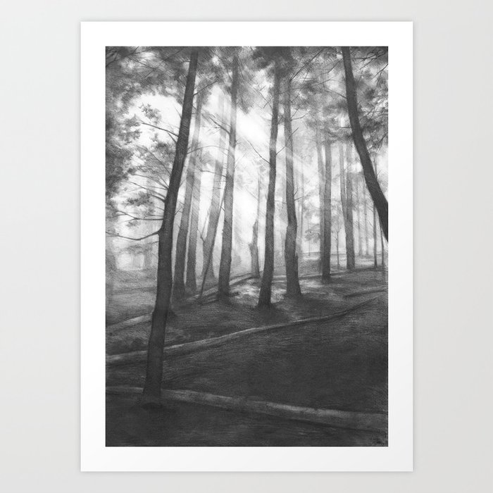  1-11x14 Through the Fog - Charcoal Drawing - Original Landscape  Art - Dark Forest Home Decor - Black & White Landscape - Fine Art and  Illustration - Gift Idea : Handmade Products