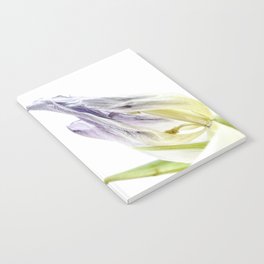 Tulip Notebook