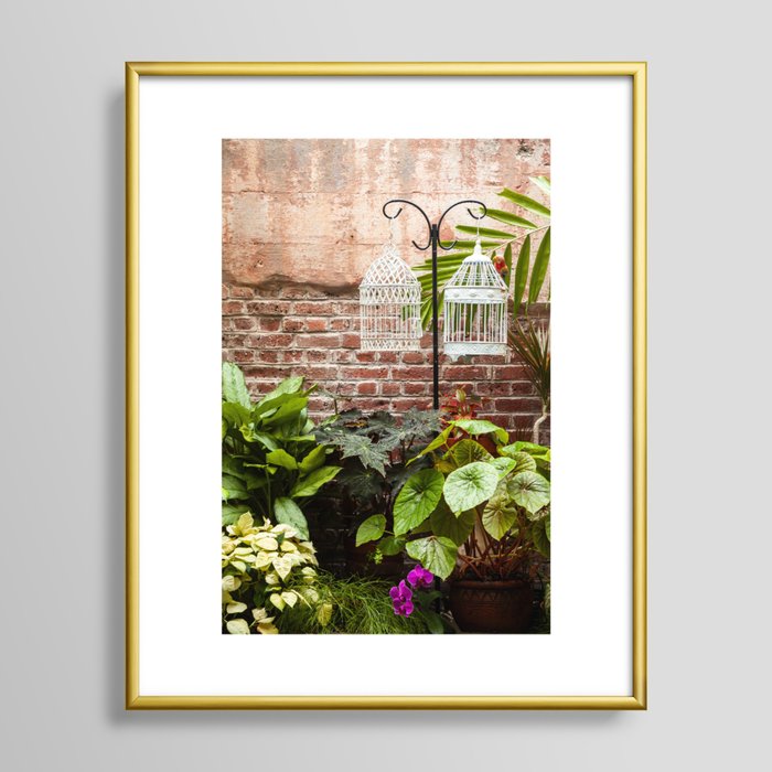 Begonia and Bird Cages Framed Art Print