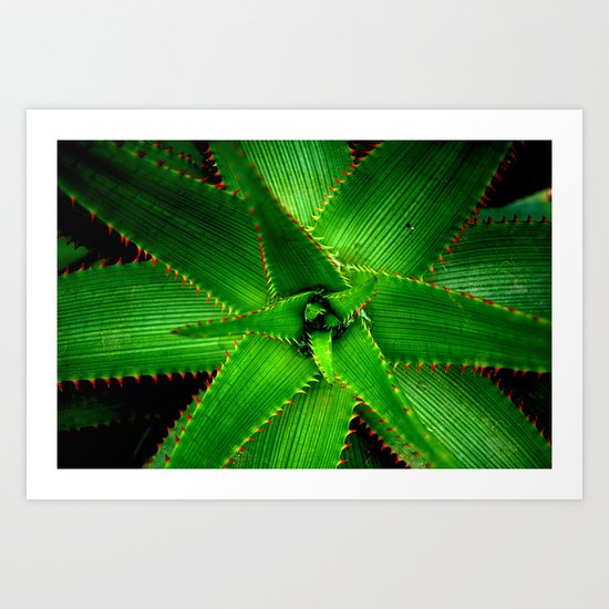 Cactus Art Print