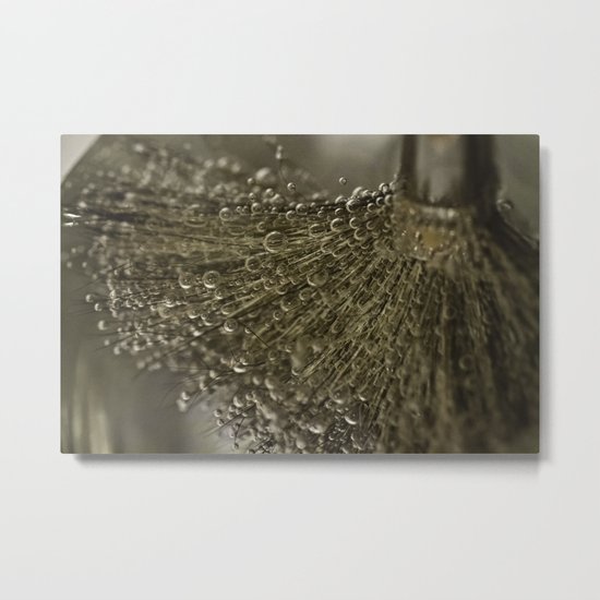 Bubbles Metal Print