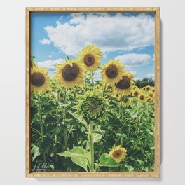 Not Ready to Face the Sun (sunflower, farm, summer) Serving Tray