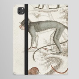 Vintage Jungle Monkey Print iPad Folio Case