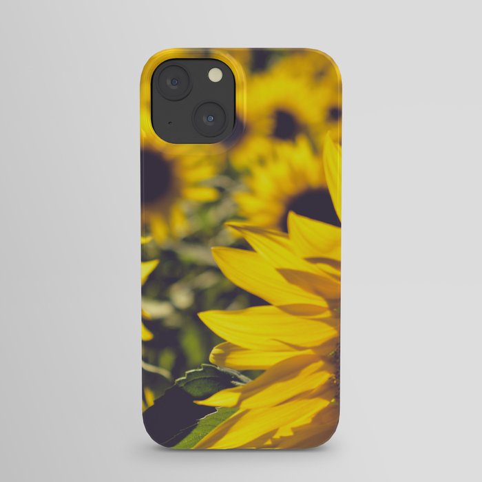 Summer Sunflower Love - boho flower photography iPhone Case