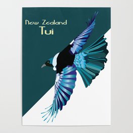 New Zealand Birds - The Tui Poster