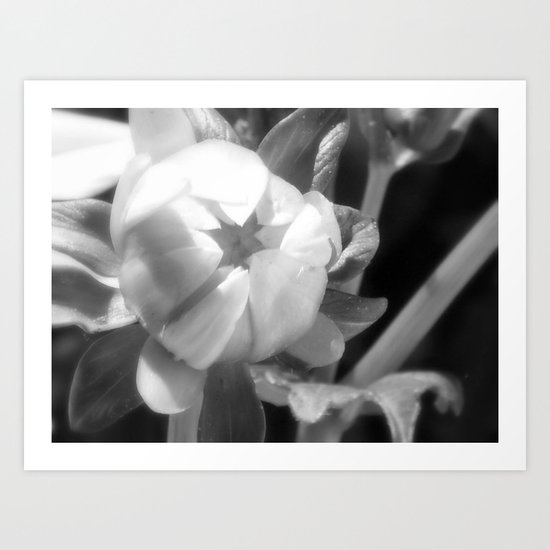 Begin Art Print