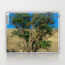 Hawk in Tree, Great Plains Nature Laptop Skin