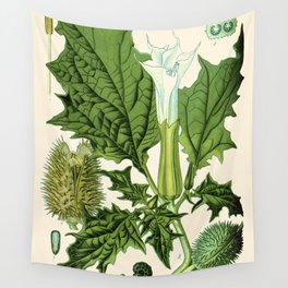 Datura stramonium (thorn apple - jimson weed or devil s snare) - Vintage botanical illustration Wall Tapestry