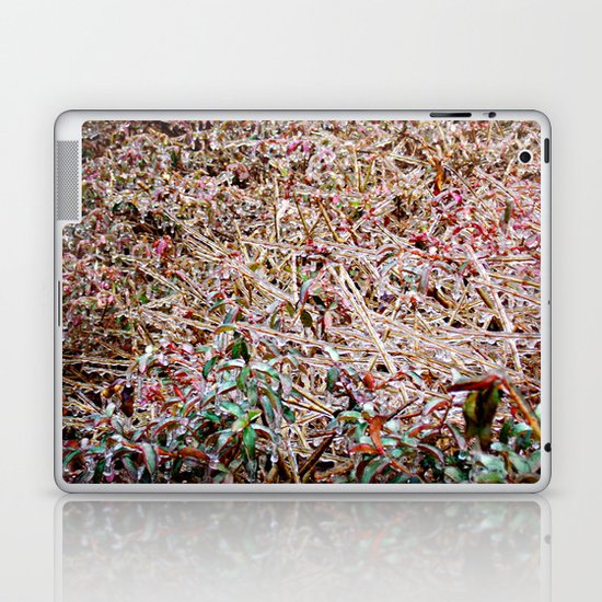 Iced Over Laptop & iPad Skin