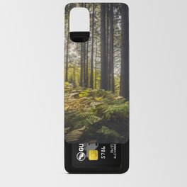 Acquerino forest. Douglas firs and ferns in the morning. Tuscany Android Card Case