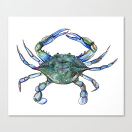 Maryland Crab Canvas Print