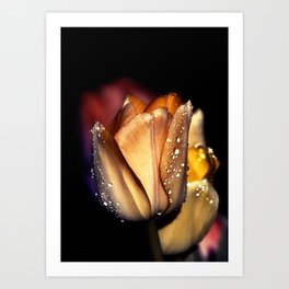 Sparkling Tulip Art Print