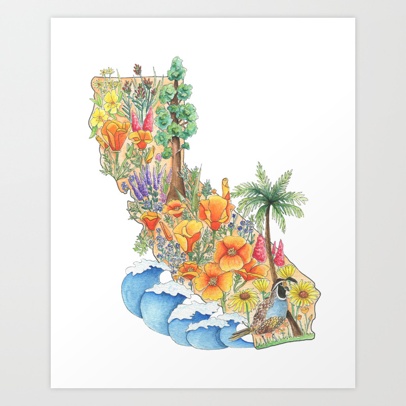 California Floral Watercolor State Of California West Coast