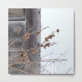 barn wood in winter Metal Print | Digital, Photo 