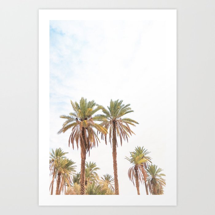 303. Two Summer Palm Trees, Jordanie Art Print