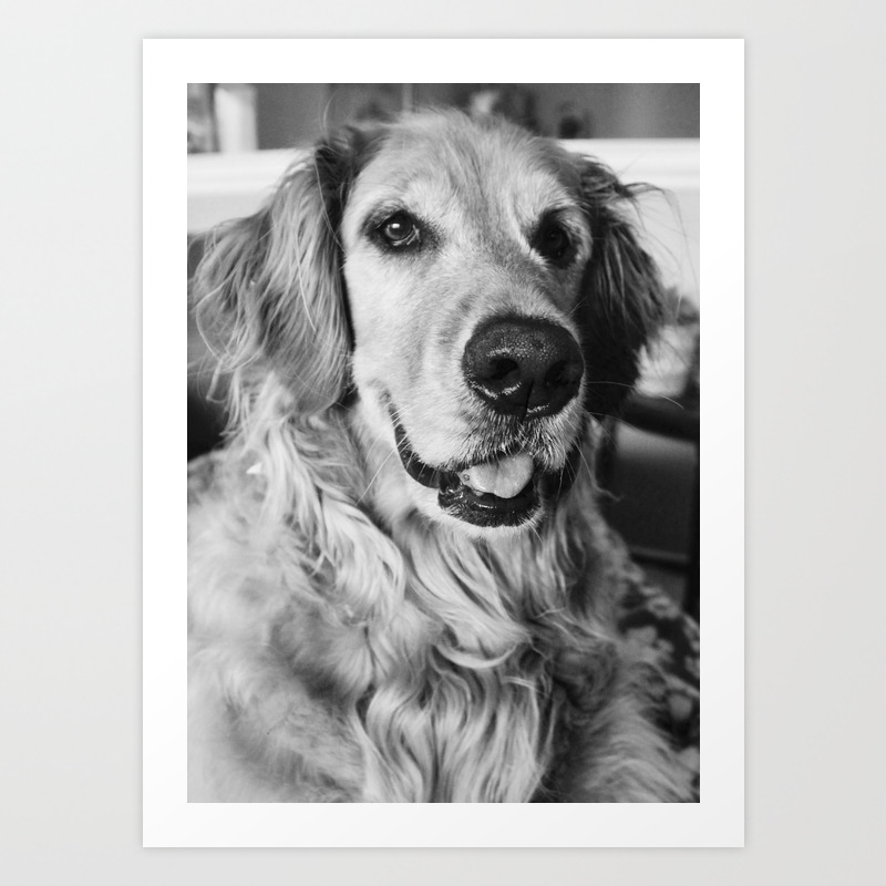 society6