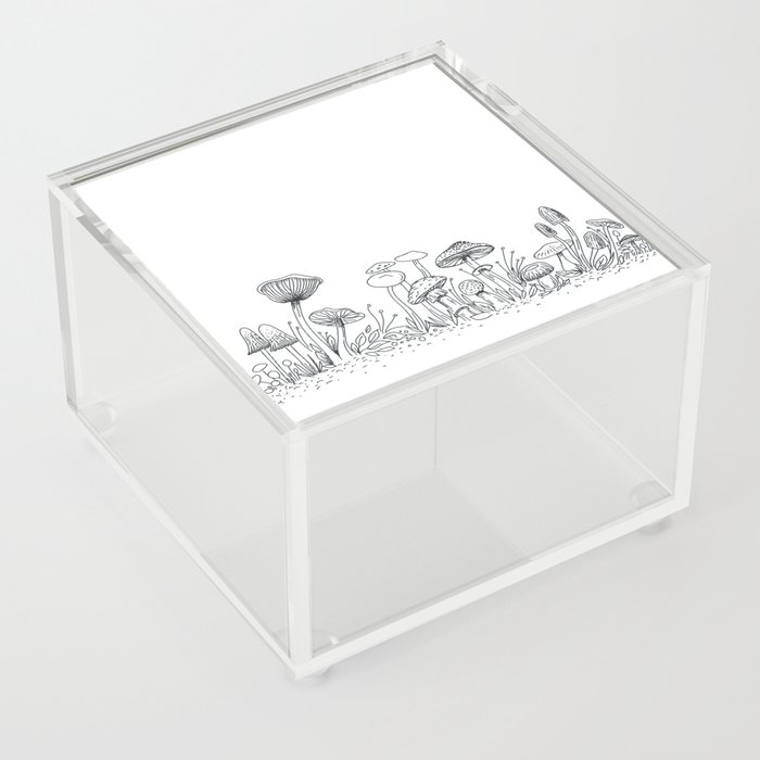 Wild Mushrooms Acrylic Box