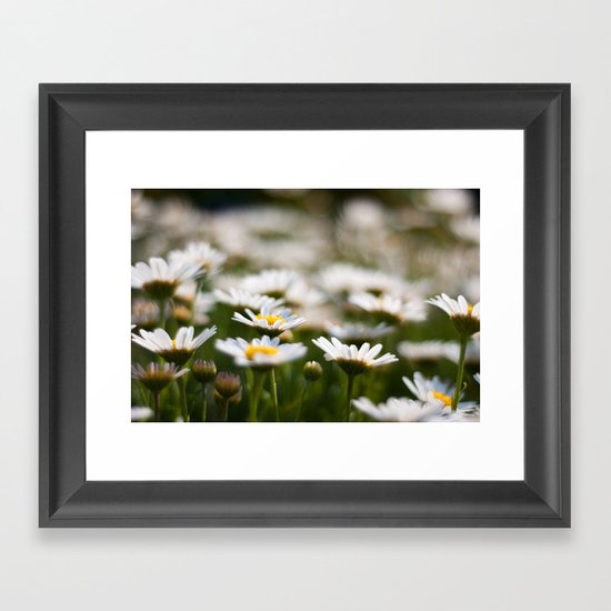 Daisy Field Framed Art Print