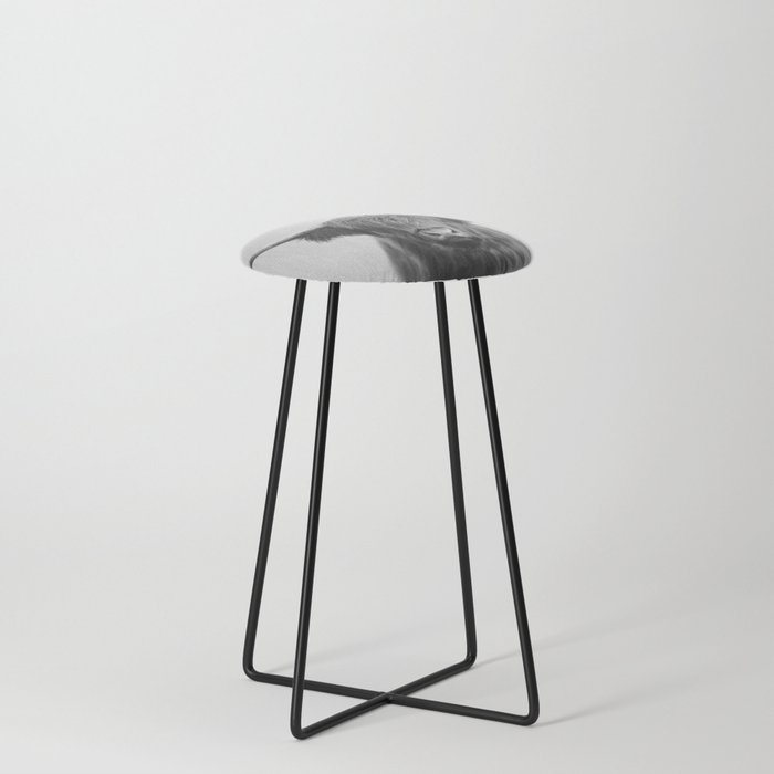 Counter Stool