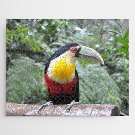 Brazil Photography - Colorful Toucan Sitting On A Branch In The Jungle Jigsaw Puzzle