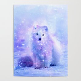 Arctic iceland fox Poster