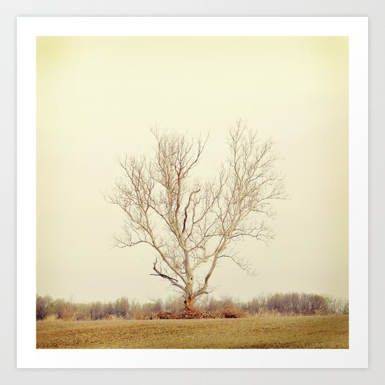 Grow Grow Grow Art Print
