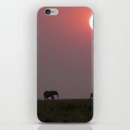 South Africa Photography - Elephants Walking In The Sunset iPhone Skin