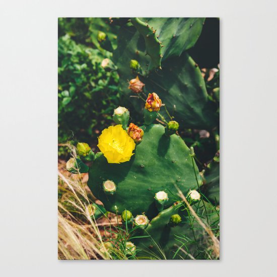 Gimme All Your Love Canvas Print