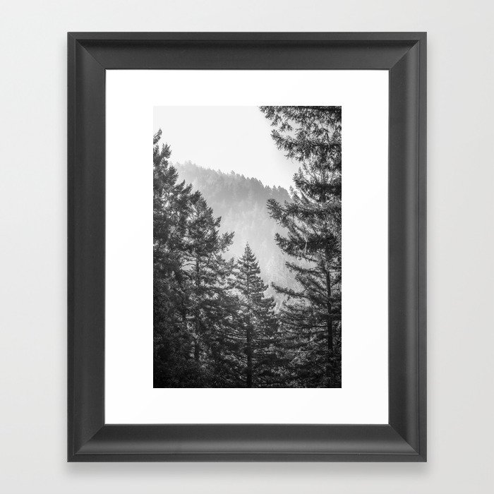 Redwood Park Black and White Framed Art Print