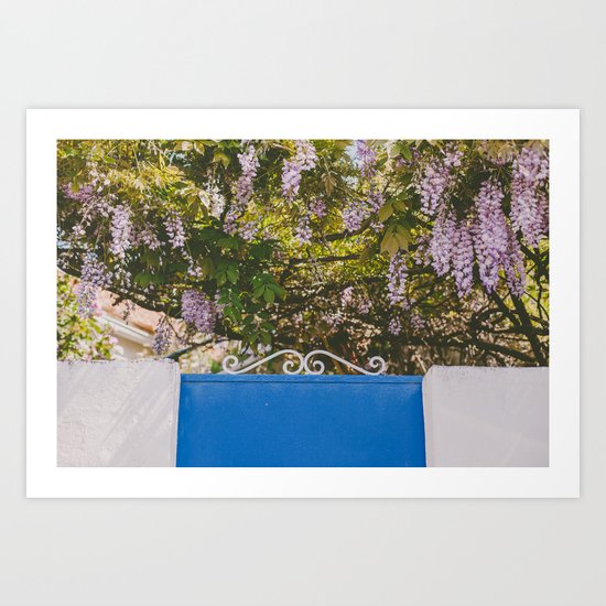 Wisteria backyard Art Print