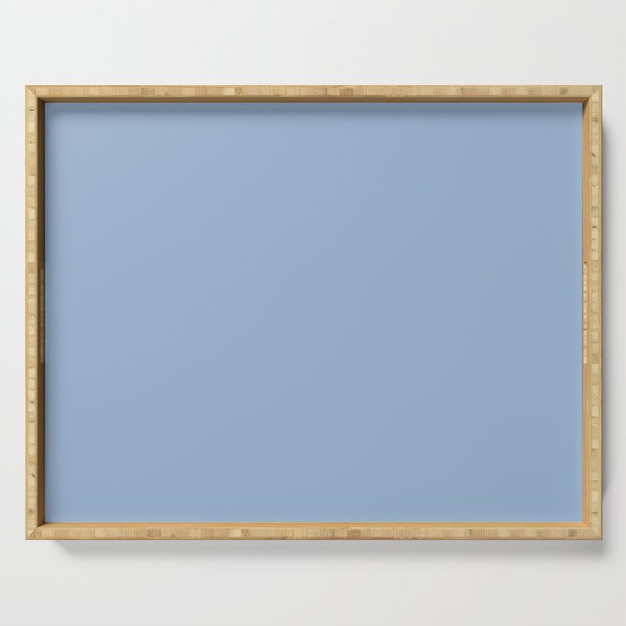 Sherwin Williams Trending Colors of 2019 Celestial (Pastel Blue) SW 6808 Solid Color Serving Tray