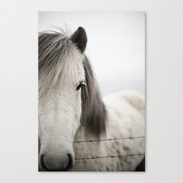 Icelandic White Canvas Print