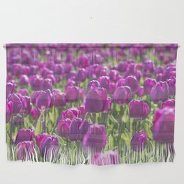 Purple Dutch tulips art print - tulip flower field - spring nature and travel photography Wall Hanging