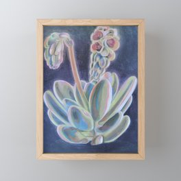 Blooming Echeveria Framed Mini Art Print