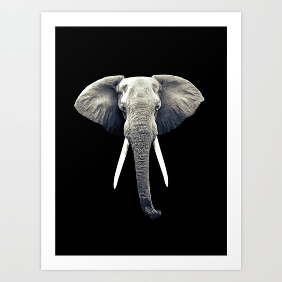 Elephant Portrait Art Print