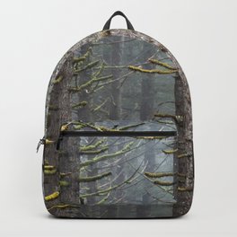 Pacfic Northwest Mountain Forest III - 108/365 Landscape Photography Backpack