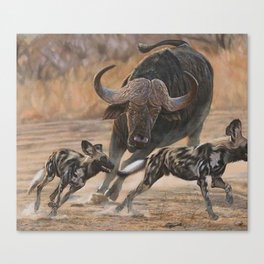 Dusty chase off Canvas Print