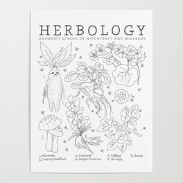[herbology] Poster