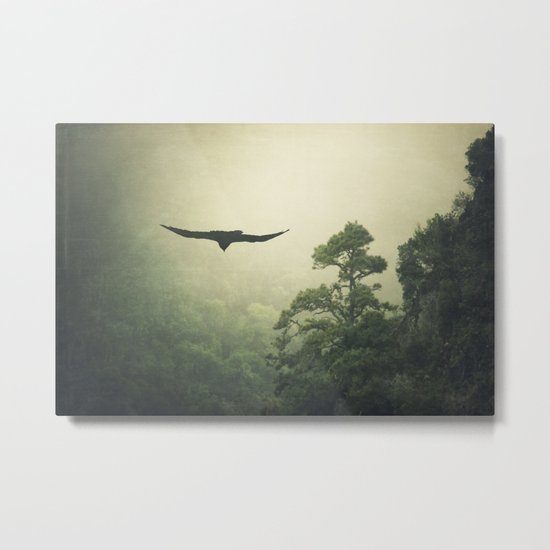 AEriaL Metal Print