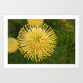Macro Flowers Art Prints Society6