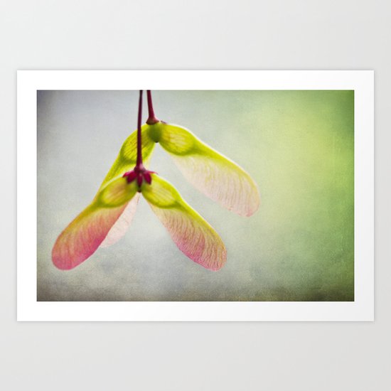 Beginnings Art Print