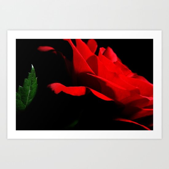 Rose. Art Print
