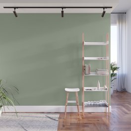 Muted Pastel Green Solid Color Pairs Behr Roof Top Garden S390-4 / Accent Shade / Hue / All One Wall Mural