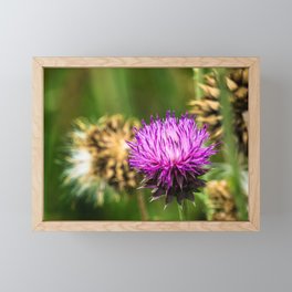 Enlarged Wildflower Framed Mini Art Print