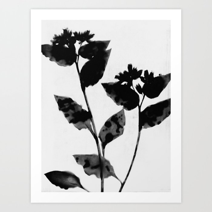Black and White Moody Floral Art Print