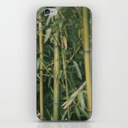 bamboo composition no.1 iPhone Skin