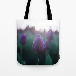 Sunrise Tulips Tote Bag